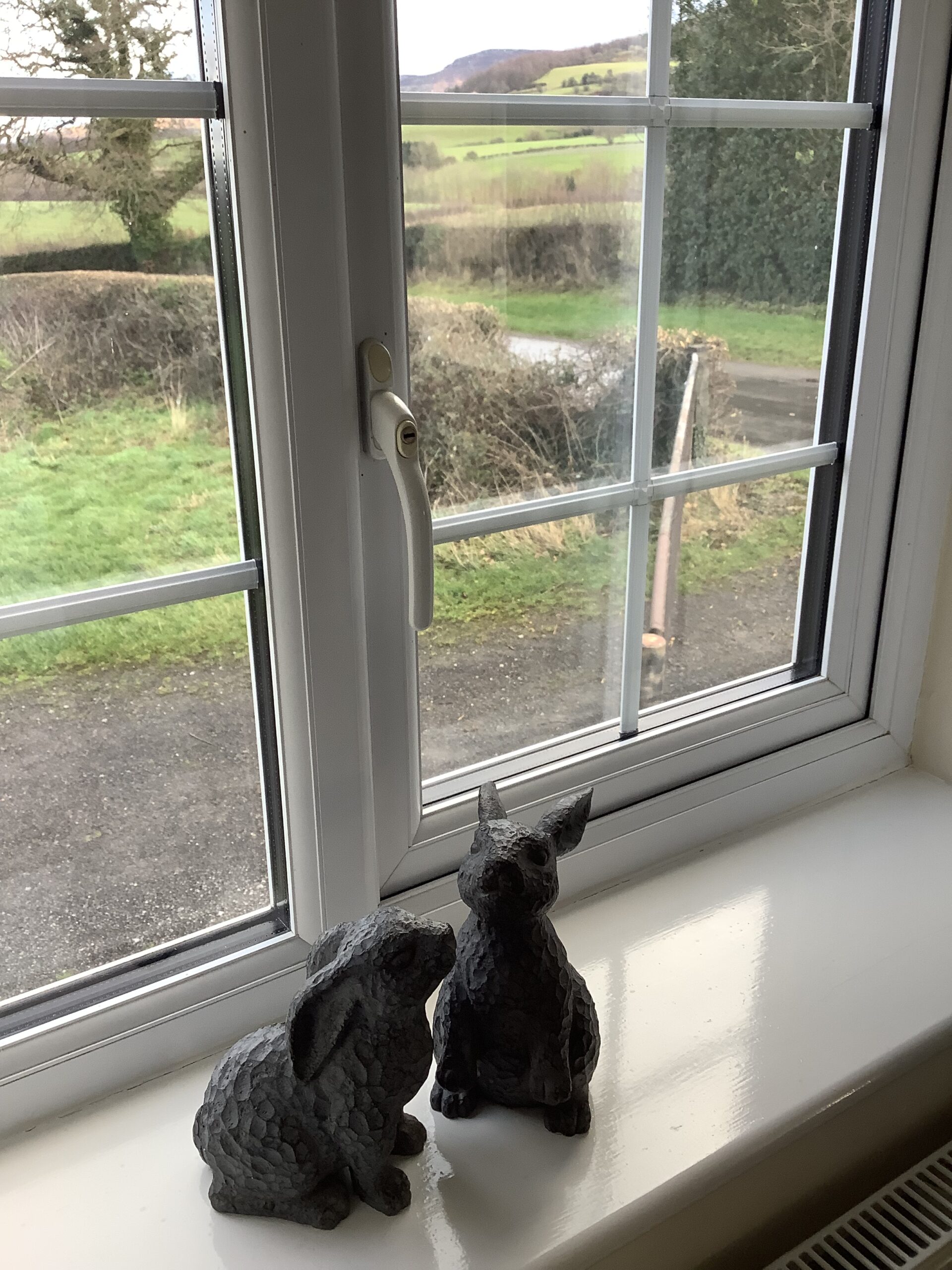 window