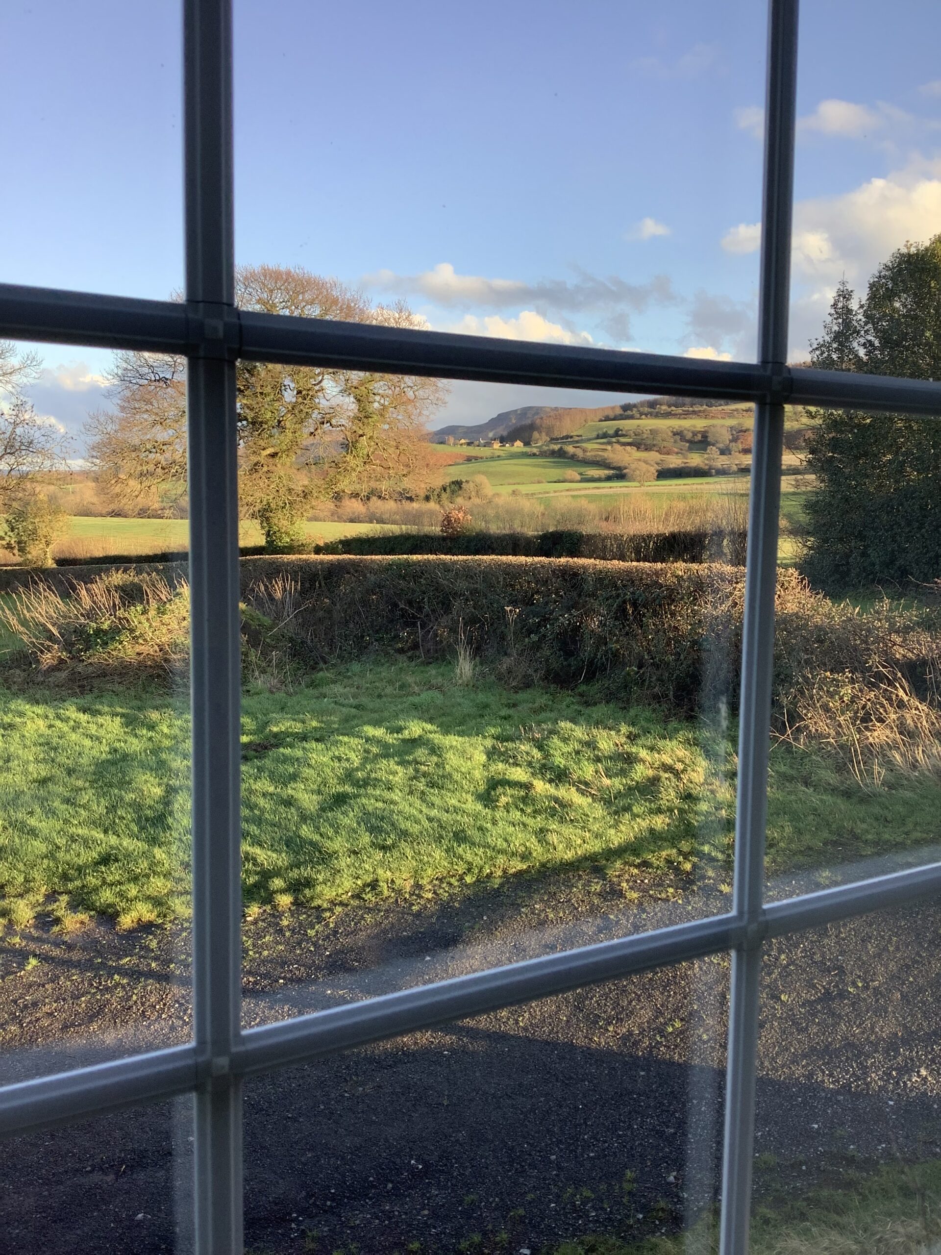window2